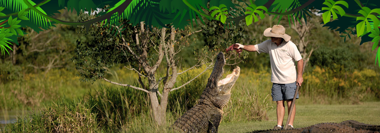 Animal Encounters in Gulf Shores & Orange Beach