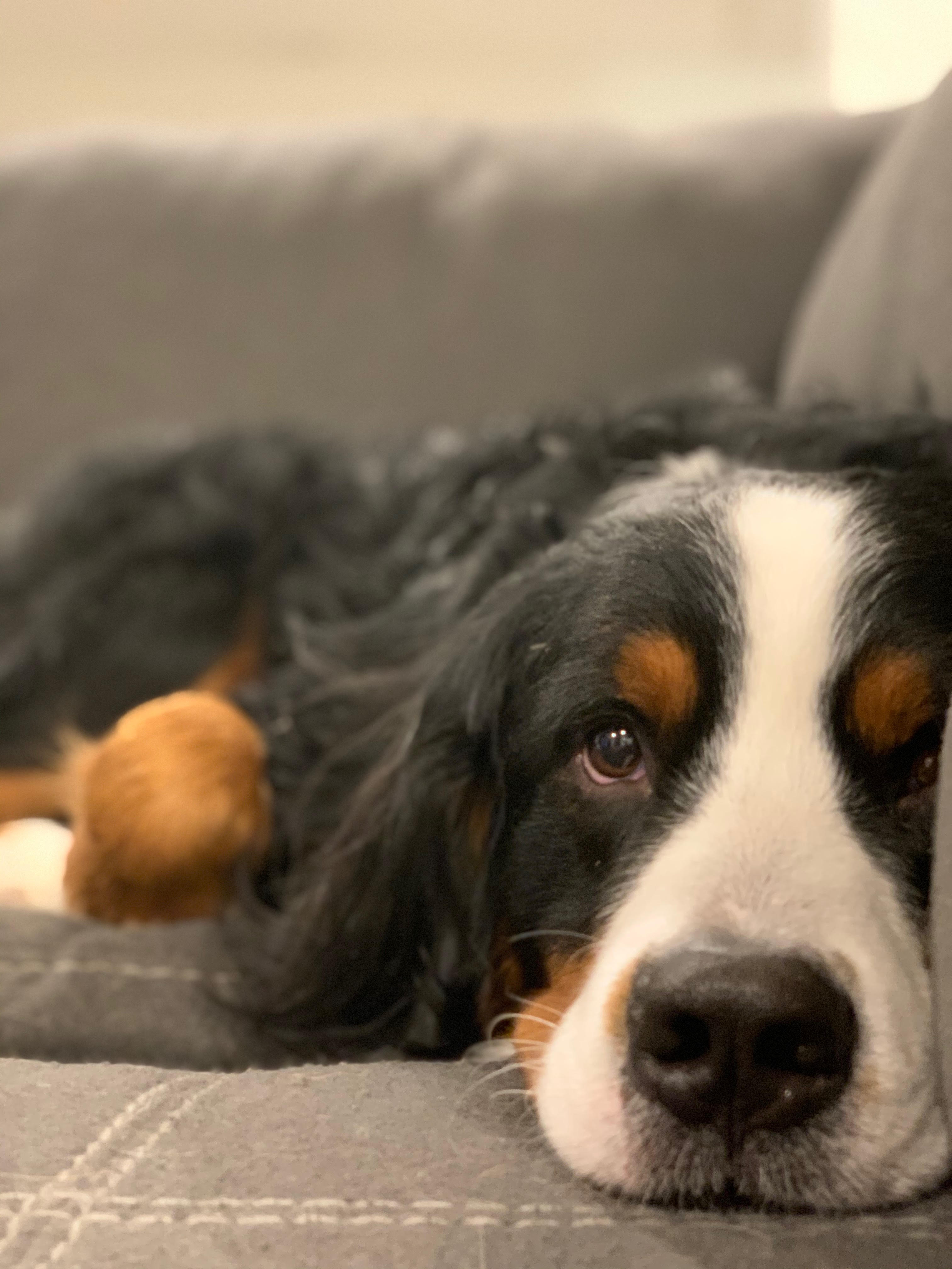 Thing To Do Day Trips