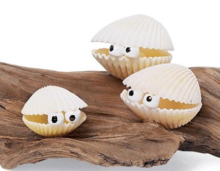 cockleshell critters